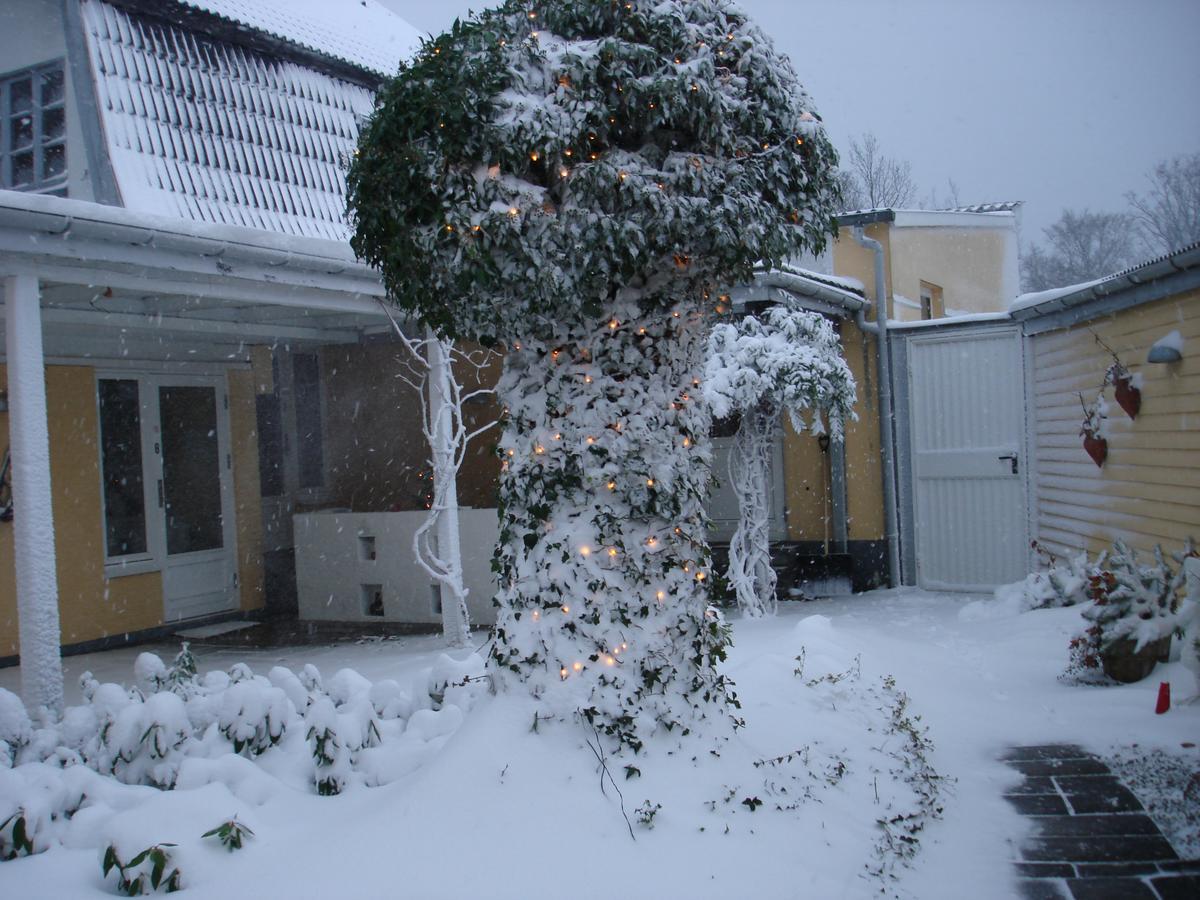 Strandidyl Bed And Breakfast Kelstrup Zewnętrze zdjęcie
